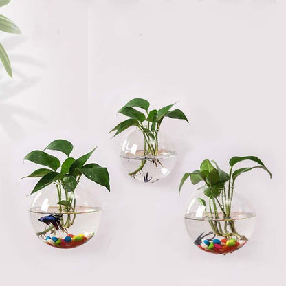 Glass Wall Hanging Planter Terrarium Semi-Circular Vase 13cm for Air Plants