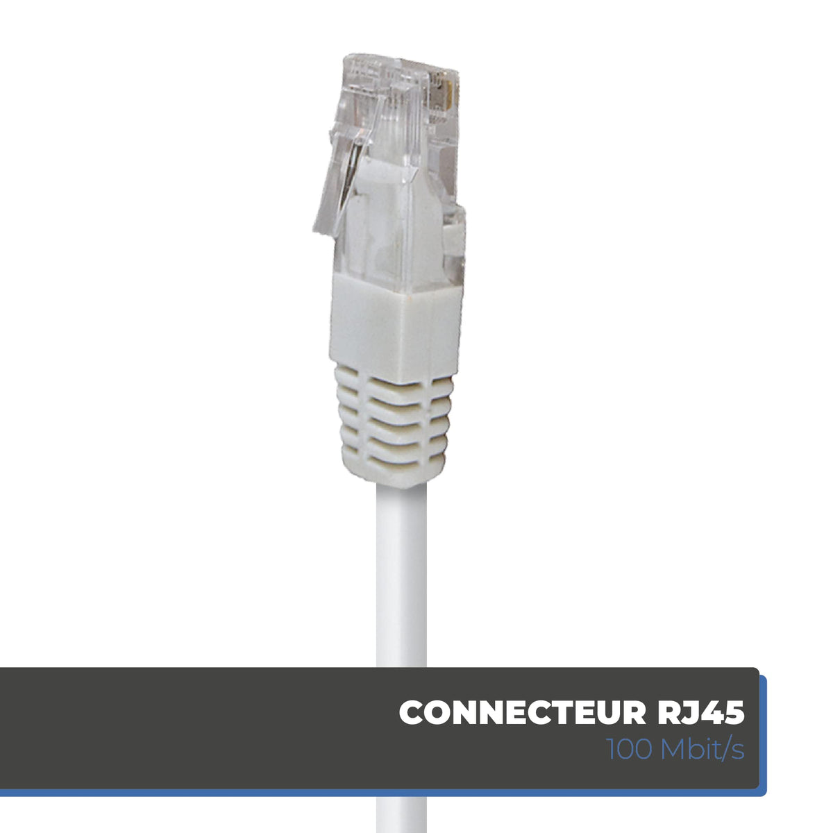 APM France 408025 RJ45 to Coaxial Cable 2m White