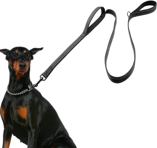 Durable Reflective Dog Leash with Dual Handles for Control