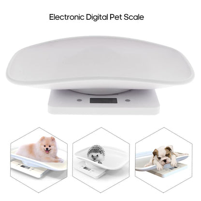 https://m.media-amazon.com/images/I/51LD8gWkntL._SL1000_.jpg