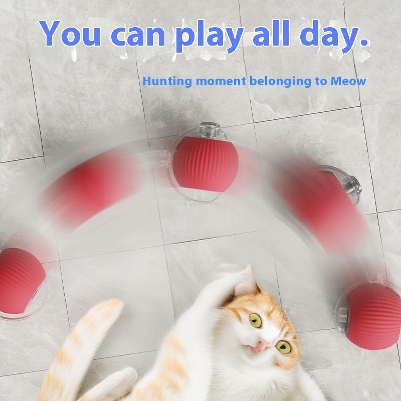 ZEEJAY Interactive Smart Cat Ball Toy