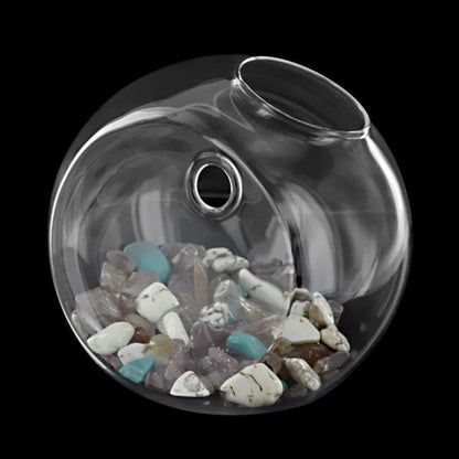 Glass Wall Hanging Planter Terrarium Semi-Circular Vase 13cm for Air Plants