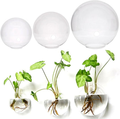 Glass Wall Hanging Planter Terrarium Semi-Circular Vase 13cm for Air Plants