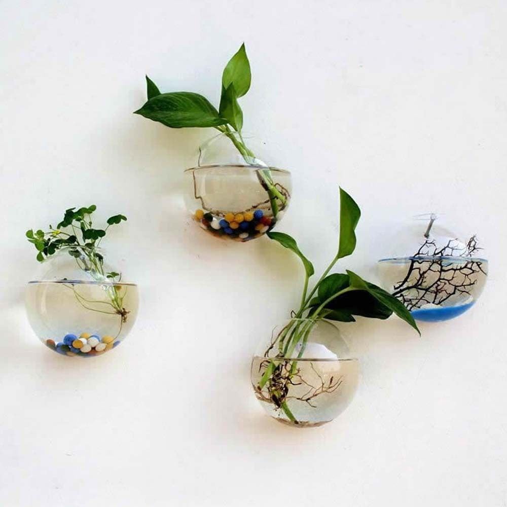 Glass Wall Hanging Planter Terrarium Semi-Circular Vase 13cm for Air Plants
