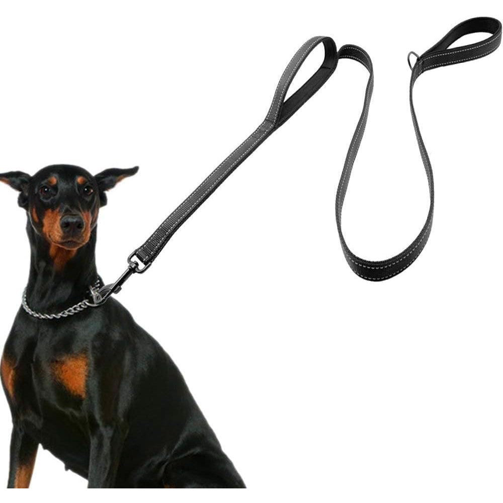 Durable Reflective Dog Leash with Dual Handles for Control
