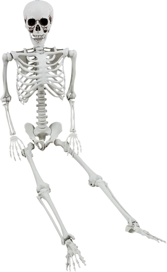 Life Size Halloween Skeleton Decor