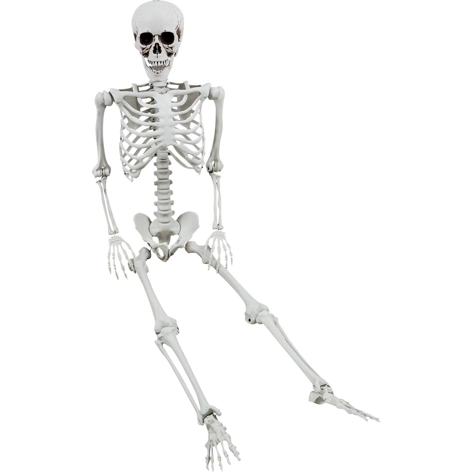 Life Size Halloween Skeleton Decor