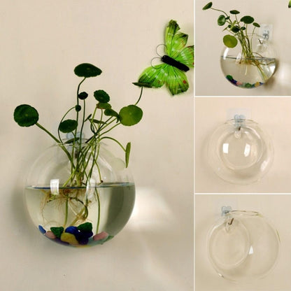 Glass Wall Hanging Planter Terrarium Semi-Circular Vase 13cm for Air Plants
