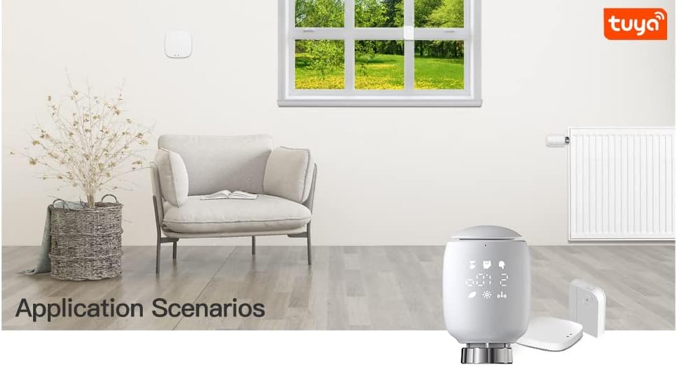 https://m.media-amazon.com/images/I/51mEE+Qj1rL._AC_SL1001_.jpg