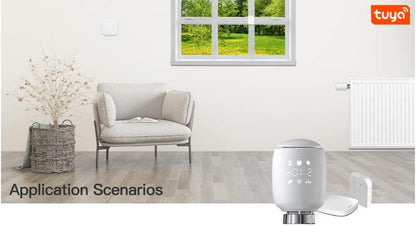 https://m.media-amazon.com/images/I/51mEE+Qj1rL._AC_SL1001_.jpg