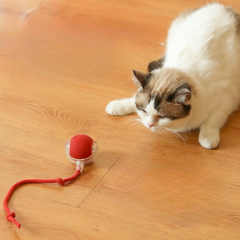ZEEJAY Interactive Smart Cat Ball Toy