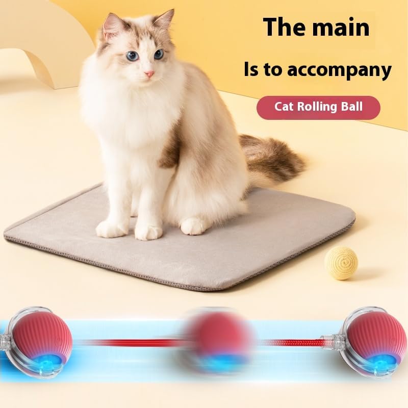 ZEEJAY Interactive Smart Cat Ball Toy