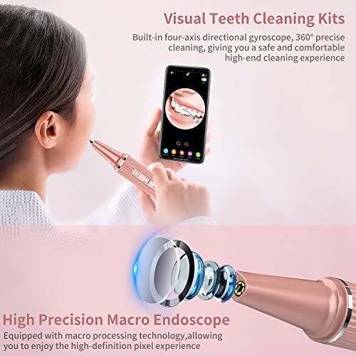 Wi-Fi Visual Ultrasonic Teeth Cleaner Plaque Remover Kit Pink