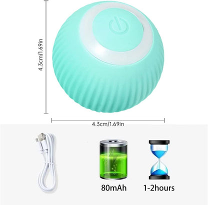 https://m.media-amazon.com/images/I/51zXZzuFCoL._AC_SL1100_.jpg