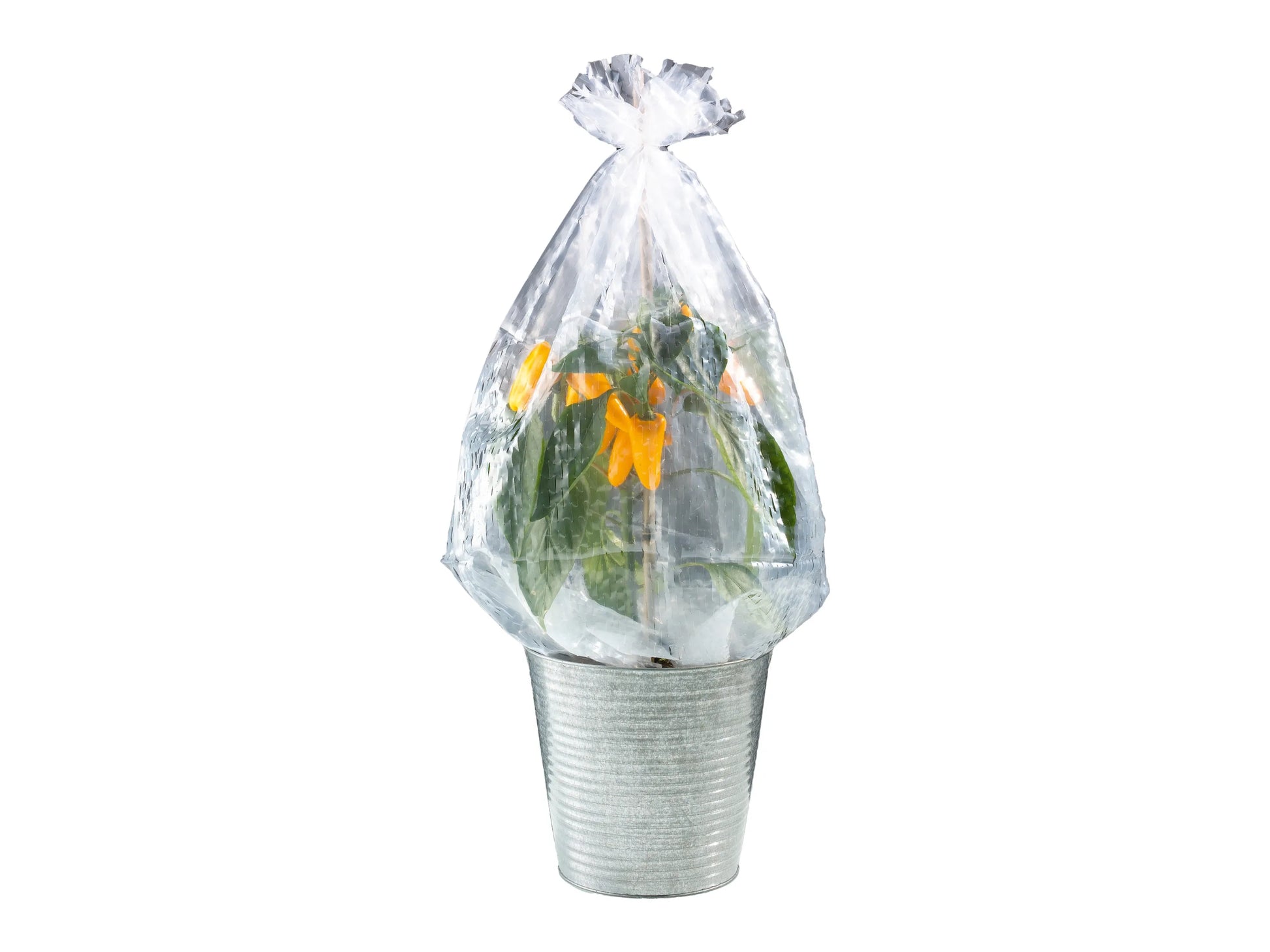 PARKSIDE Strauch Folienhaube 5-Pack UV-Stable Polyethylene for Shrubs