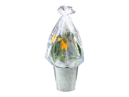 PARKSIDE Strauch Folienhaube 5-Pack UV-Stable Polyethylene for Shrubs