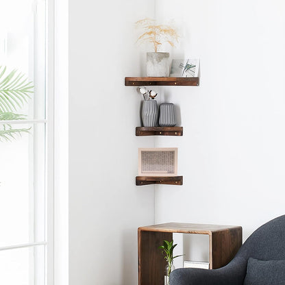 Wooden Savings Box with Counter for 5000 Euro