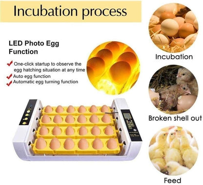 Smart Digital Egg Incubator: Automatic Turning, Temperature Control, LED Candler