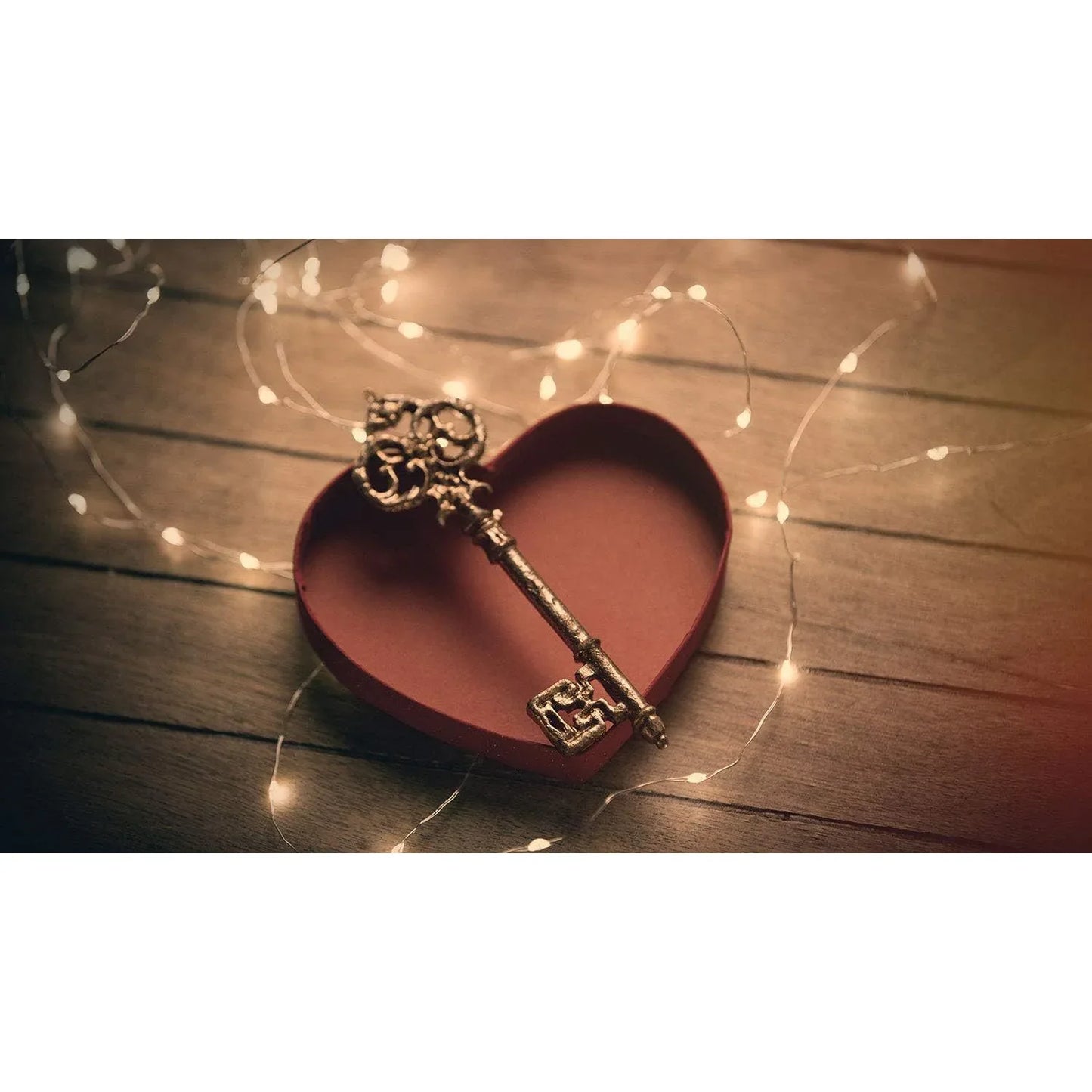 Idena 50-LED Warm White Micro Fairy Lights with Timer - Gomix Brands Outlet