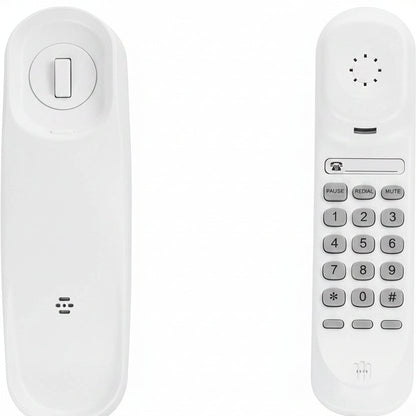 https://m.media-amazon.com/images/I/61DgWv7FaQL._AC_SL1500_.jpg