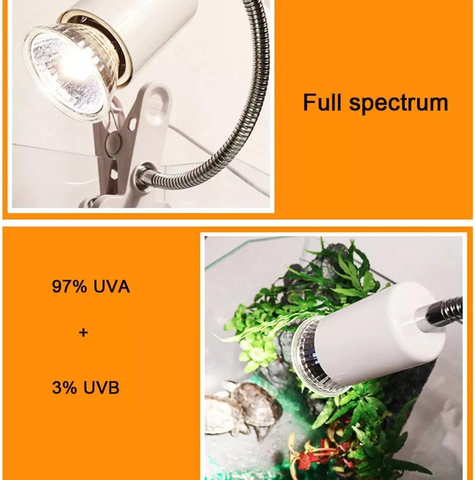 BraceTek 50W UVA UVB Reptile Heat Lamp Bulbs 4 Pack