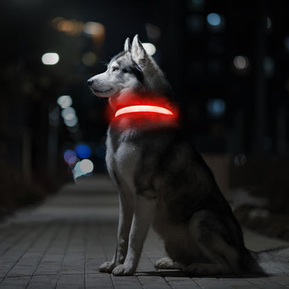 MASBRILL Rechargeable Security LED Pet Collar