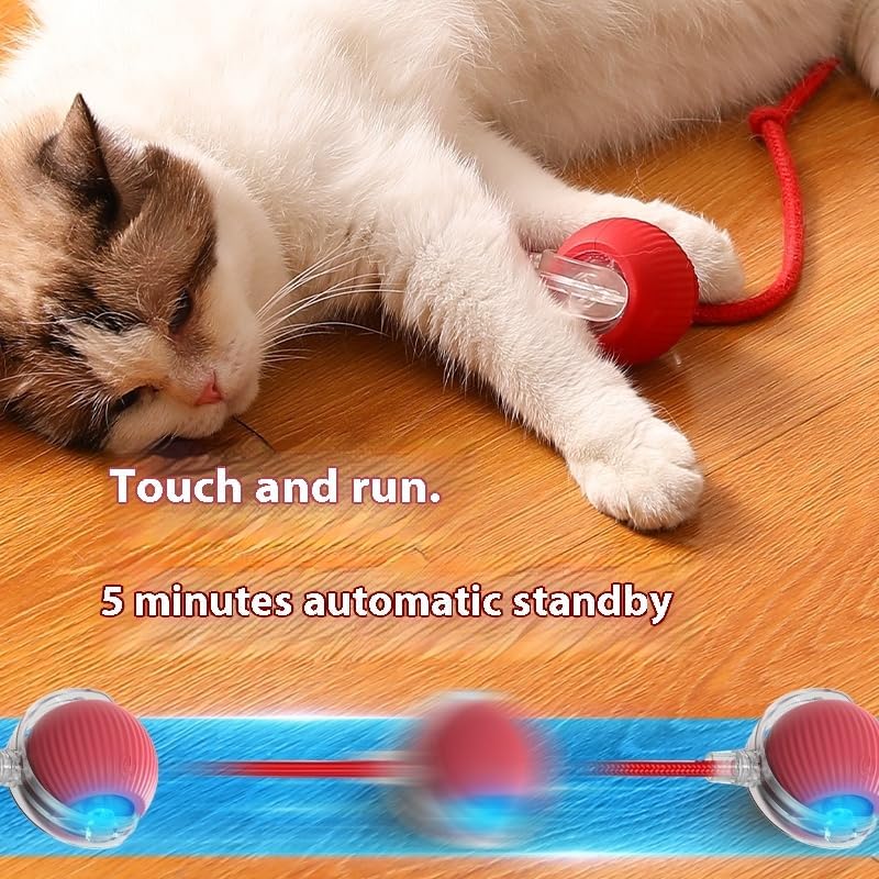 ZEEJAY Interactive Smart Cat Ball Toy