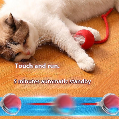 ZEEJAY Interactive Smart Cat Ball Toy