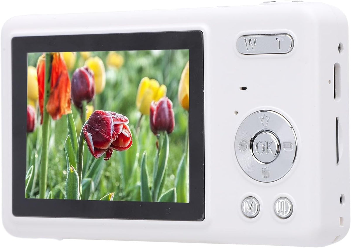 https://m.media-amazon.com/images/I/61OK8K6sxLL._AC_SL1500_.jpg