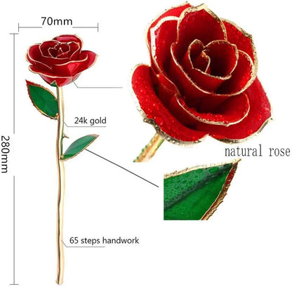 24K Gold Rose with Transparent Stand and Gift Box - Gomix Brands Outlet
