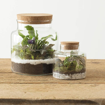 Atmosphera Glass Terrarium Cork Lid 18 x 21 cm