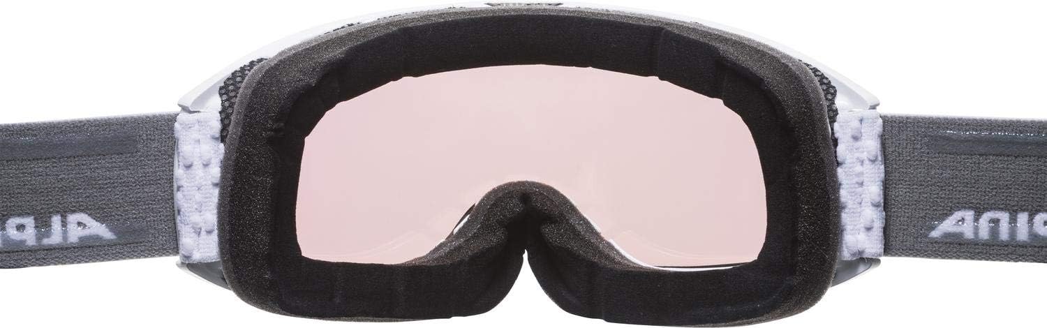 ALPINA Nakiska QVM Photochromic Mirrored Ski Goggles for Men