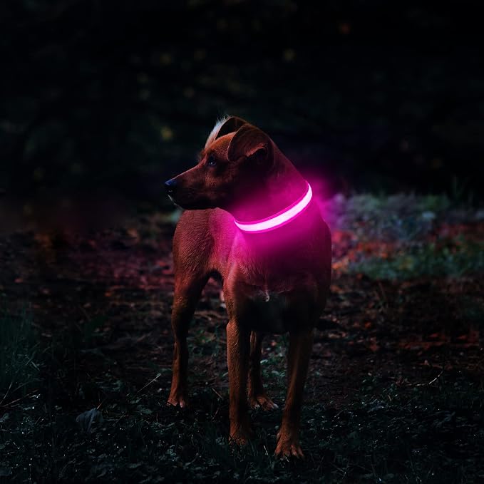 MASBRILL Rechargeable Waterproof Light-Up Dog Collar