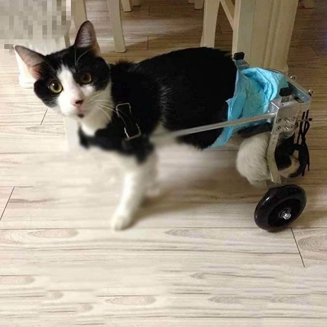 https://m.media-amazon.com/images/I/61U5zZ7s9wL._AC_SL1100_.jpg