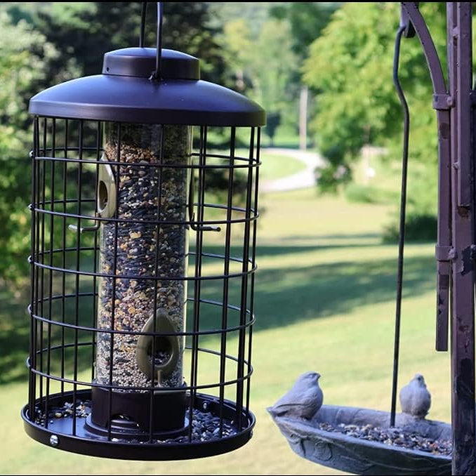 Heavy-Duty Metal Cage Bird Feeder with 4 Ports