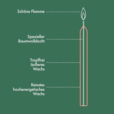 Bolsius Red Tapered Dinner Candles 8-Pack 23cm Long Burn