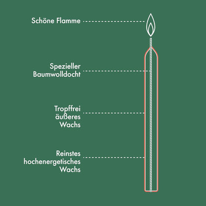 Bolsius Red Tapered Dinner Candles 8-Pack 23cm Long Burn