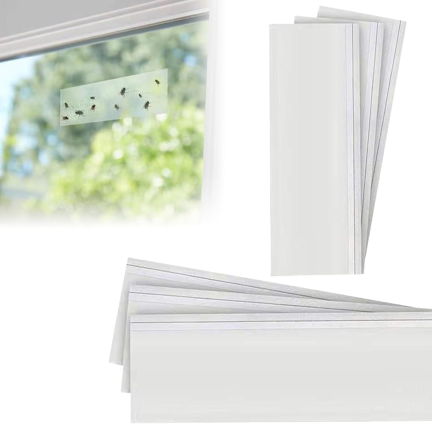 Insectex Window Fly Trap, 9-pack, Insecticide-Free, Glue Trap, Transparent