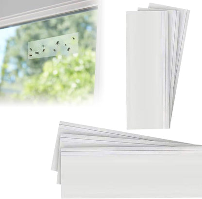 Insectex Window Fly Trap, 9-pack, Insecticide-Free, Glue Trap, Transparent