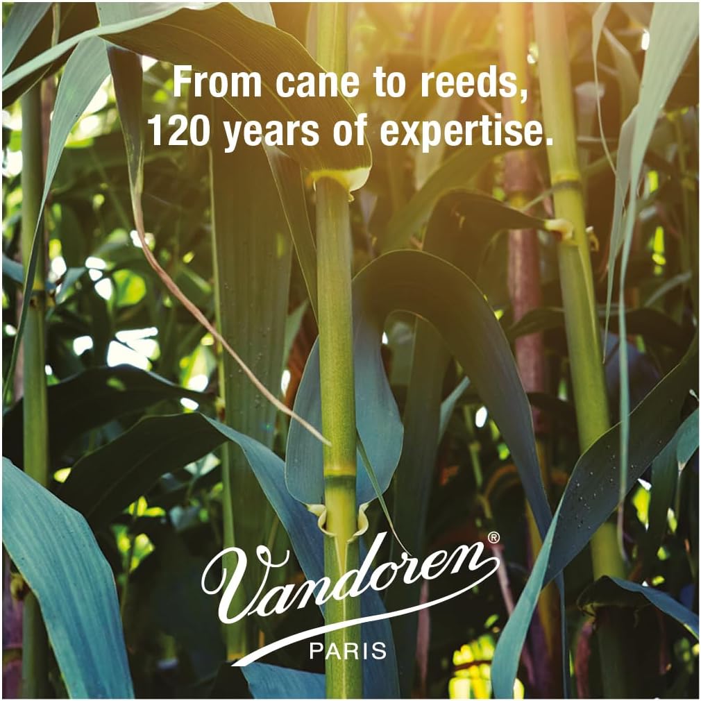 Vandoren CR113 Eb Clarinet Traditional Reeds Strength 3 10 Pack