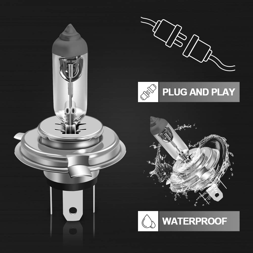 WinPower HS1 PX43T Halogen Headlight Bulb 12V 35W 4300K