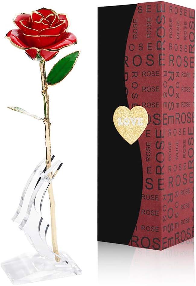 24K Gold Rose with Transparent Stand and Gift Box - Gomix Brands Outlet