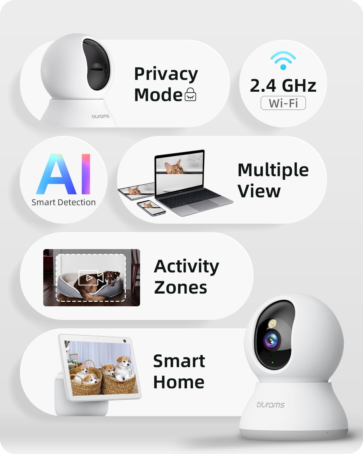 https://m.media-amazon.com/images/I/61jLKTi2wxL._AC_SL1500_.jpg