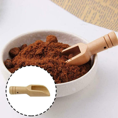 Wooden Mini Scoop Set for Salt Sugar Coffee