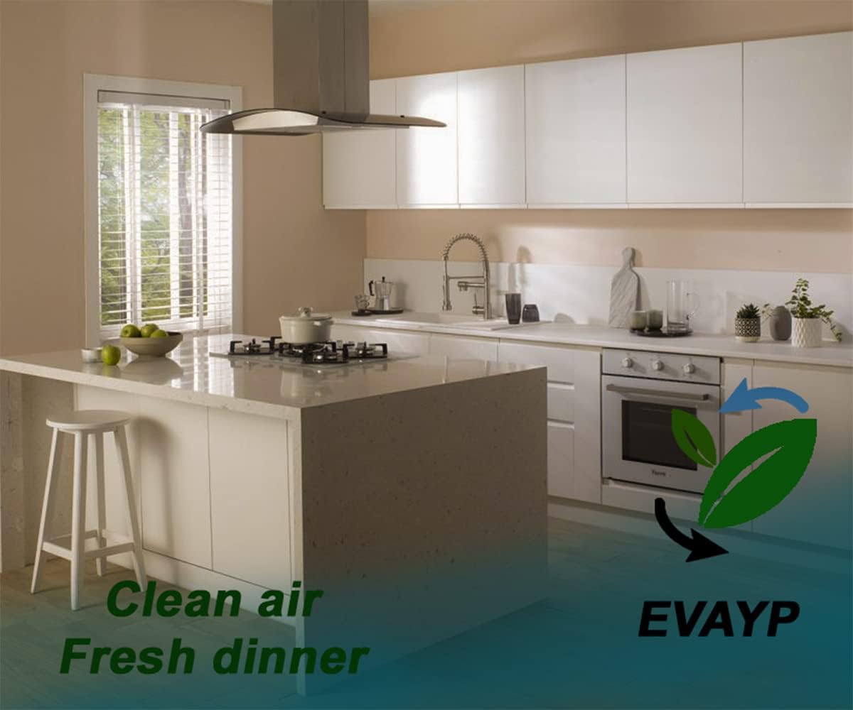 EVAYP 2-Pack Activated Carbon Cooker Hood Filter Compatible with Bosch Neff Siemens 225 x 256 x 23 mm