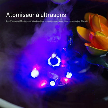 Ultrasonic Mist Maker Fogger 12 LED DC 24V