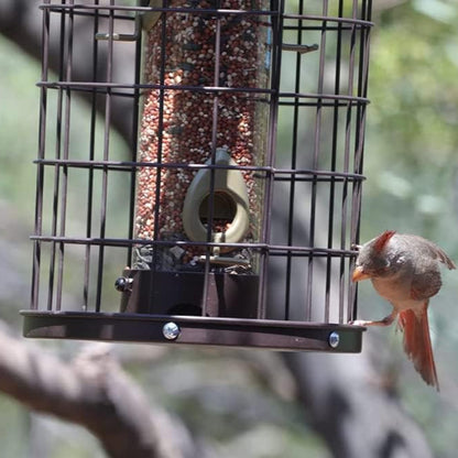 Heavy-Duty Metal Cage Bird Feeder with 4 Ports