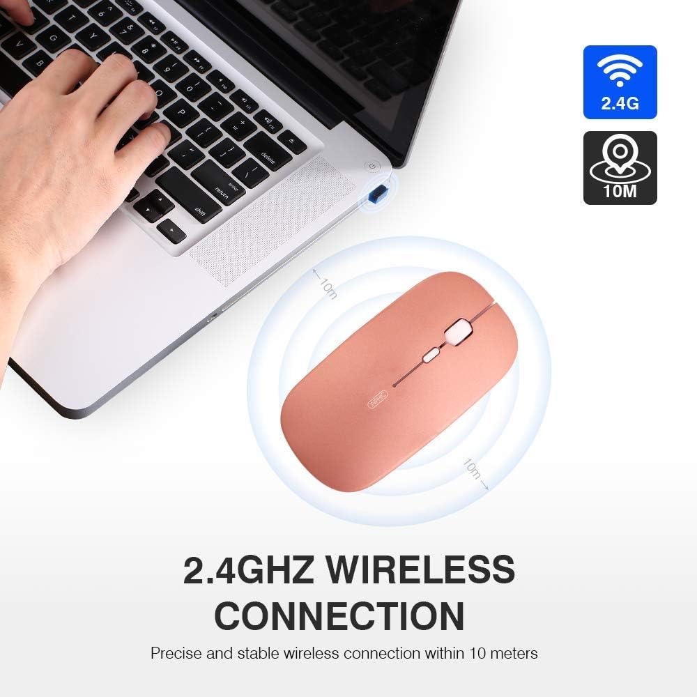 https://m.media-amazon.com/images/I/61vpqqcJE1L._AC_SL1000_.jpg