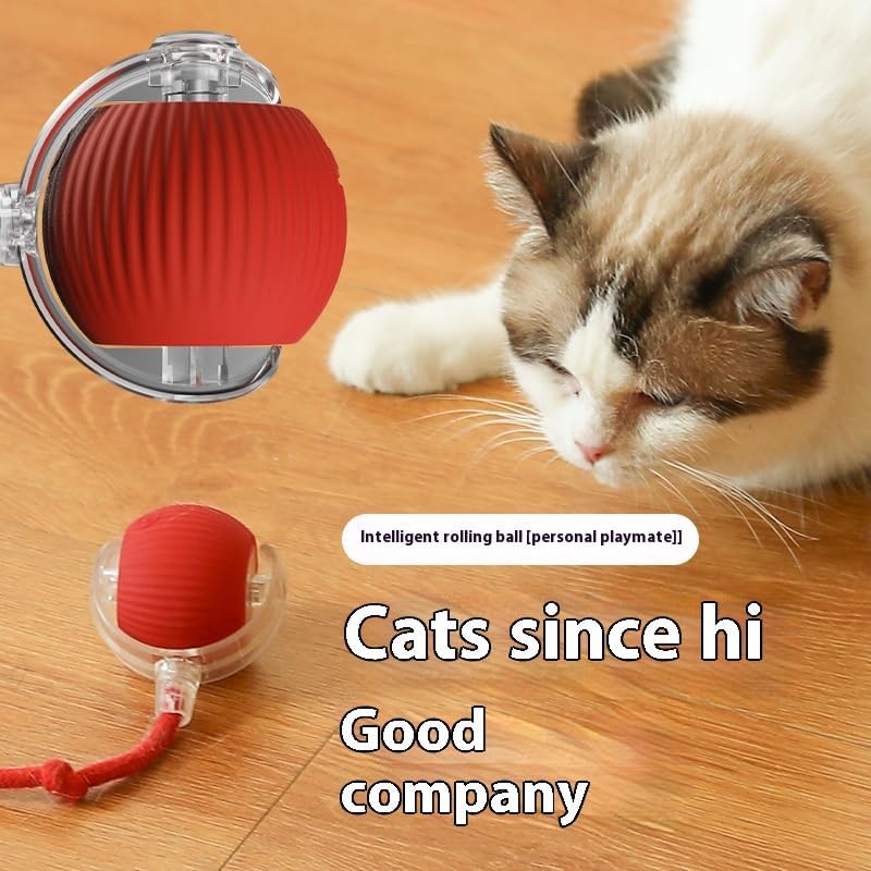 ZEEJAY Interactive Smart Cat Ball Toy