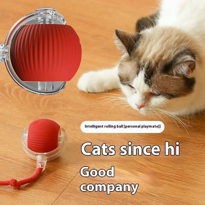 ZEEJAY Interactive Smart Cat Ball Toy